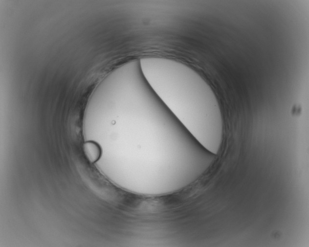 X0000113630599200909181307
