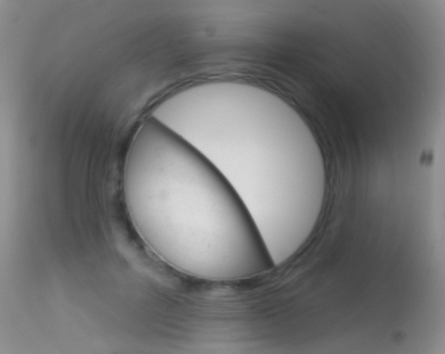 X0000113630600200909181307
