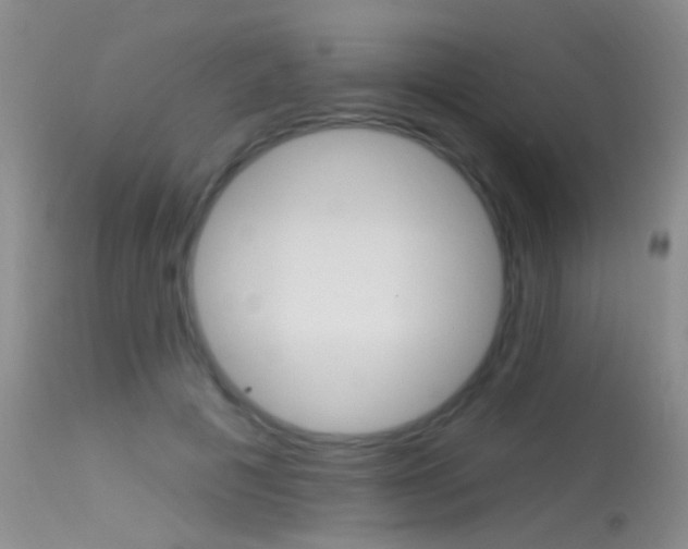 X0000113630601200909181307