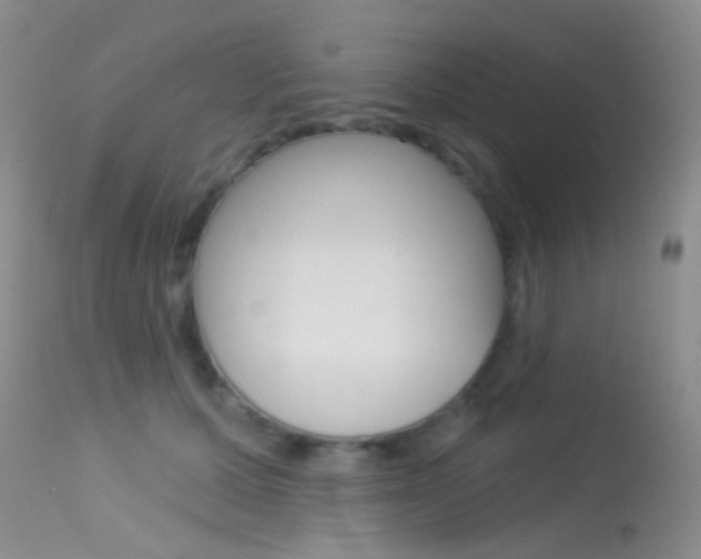 X0000113630607200909181306