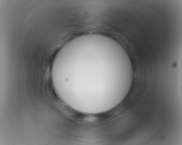 X0000113630610200909181306
