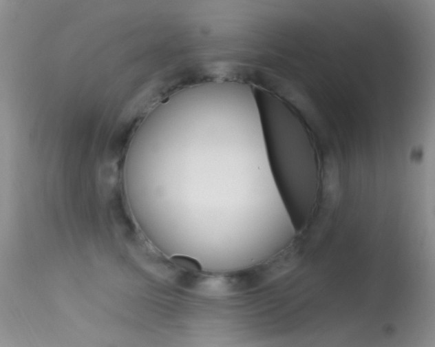 X0000113630611200909181306