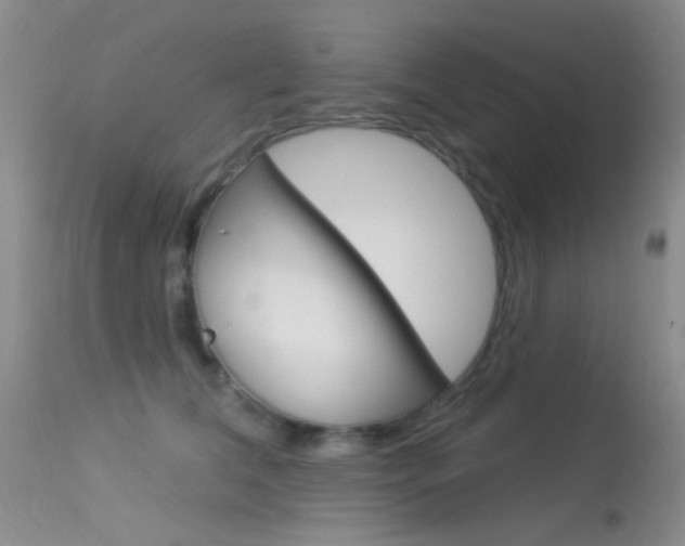 X0000113630612200909181306