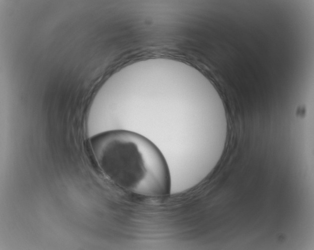 X0000113630613200909181306