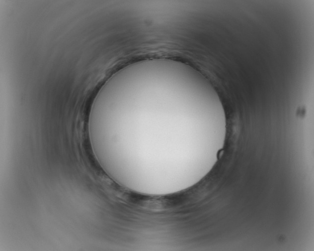 X0000113630615200909181306