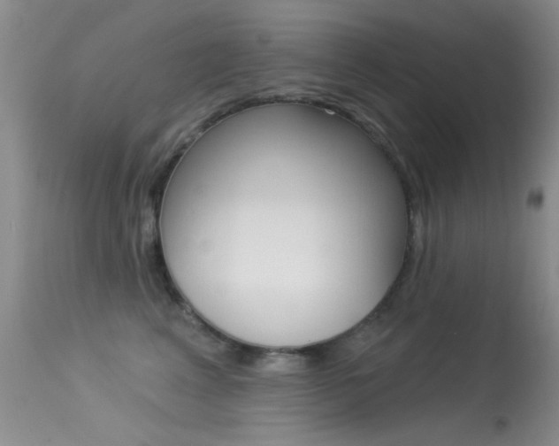 X0000113630617200909181306