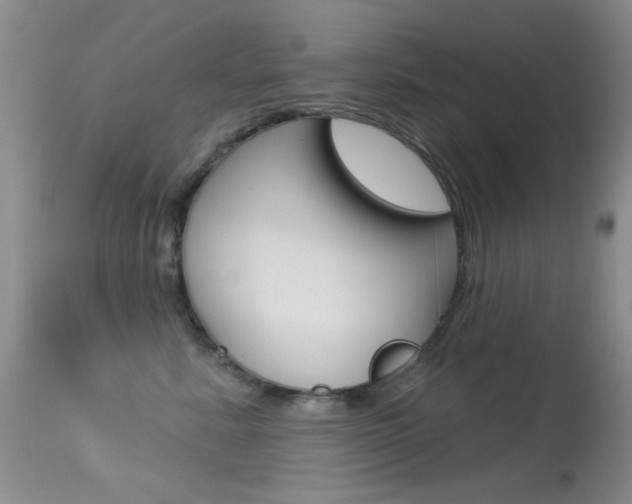 X0000113630619200909181306