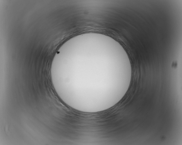 X0000113630621200909181306