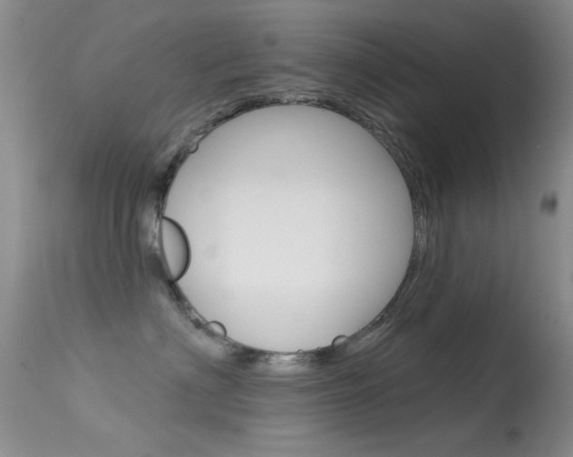 X0000113630622200909181306