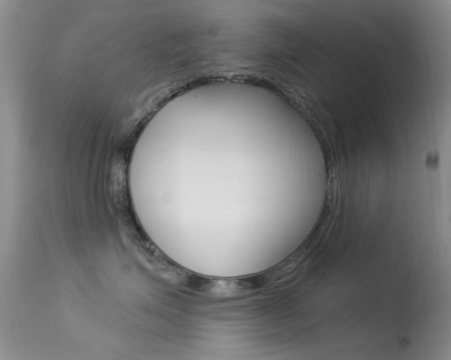X0000113630623200909181306