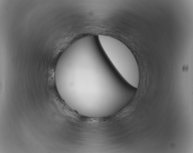 X0000113630624200909181306