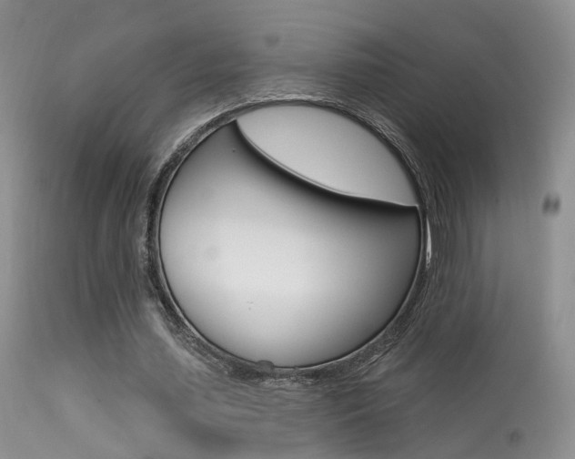 X0000113630627200909181305