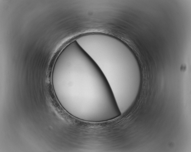 X0000113630628200909181305