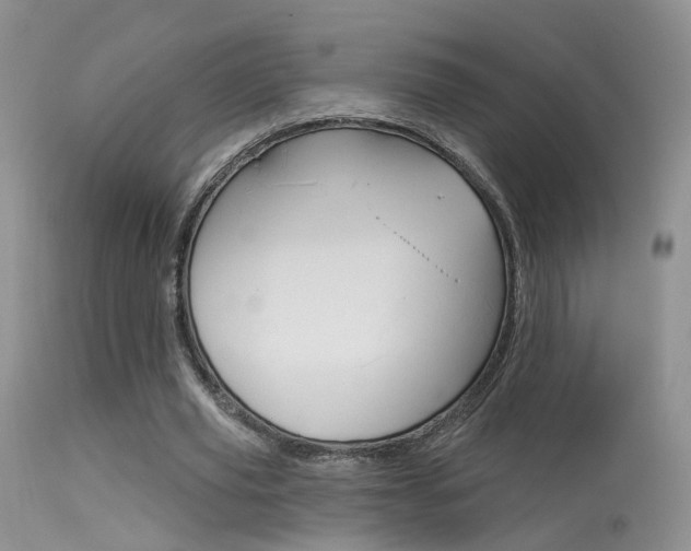 X0000113630629200909181305