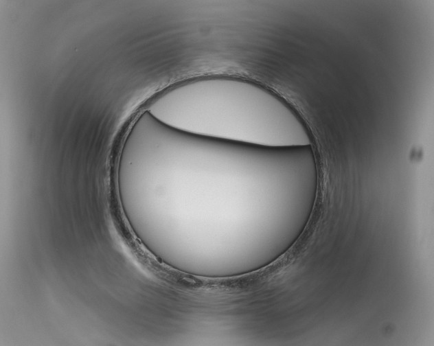 X0000113630630200909181305
