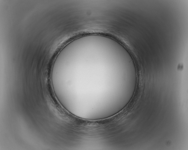X0000113630631200909181305