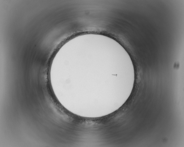 X0000113630632200909181305