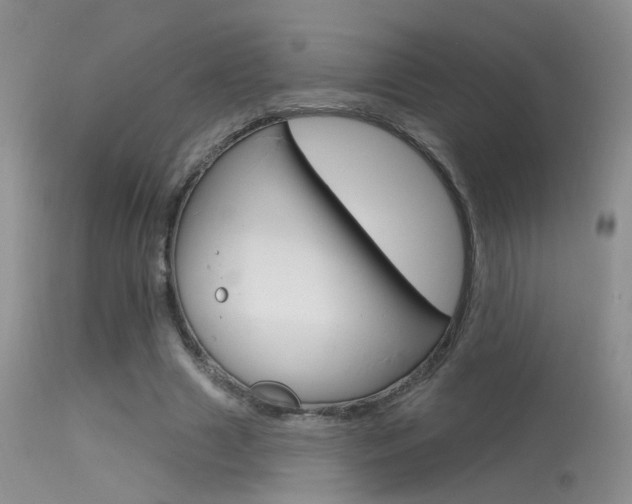 X0000113630633200909181306