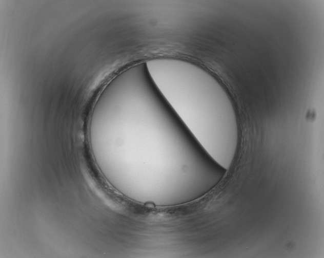 X0000113630634200909181306
