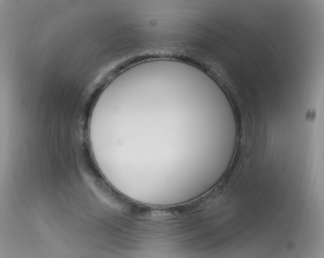 X0000113630636200909181306