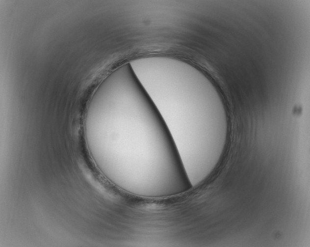 X0000113630637200909181306