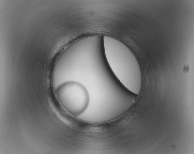 X0000113630638200909181306