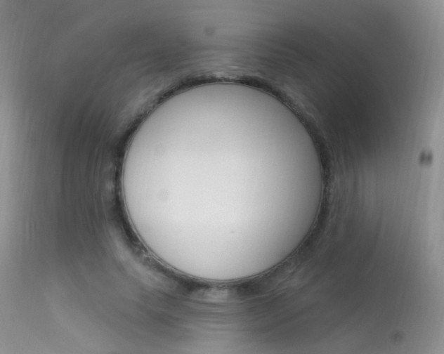 X0000113630639200909181306