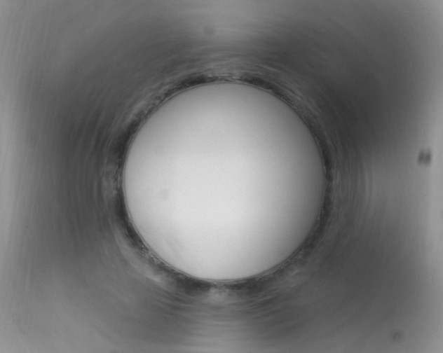 X0000113630641200909181306