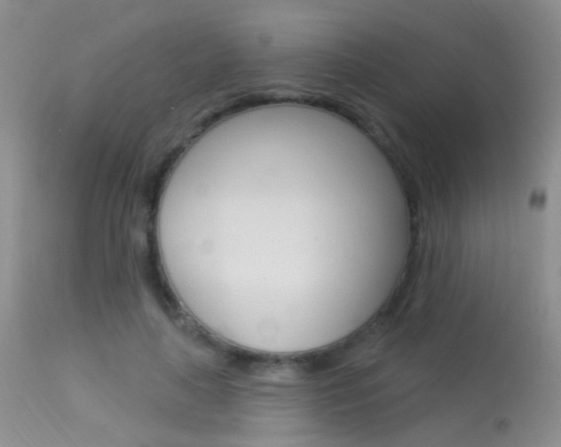X0000113630643200909181306