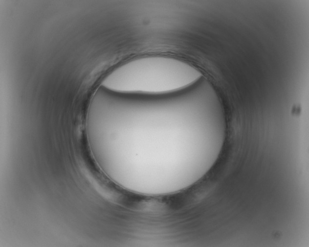X0000113630644200909181306
