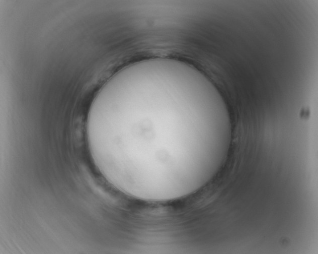 X0000113630646200909181306
