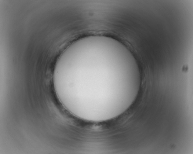 X0000113630647200909181306