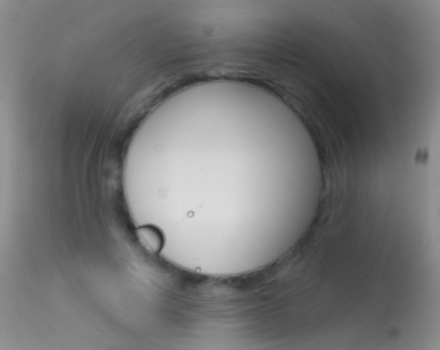 X0000113630648200909181306