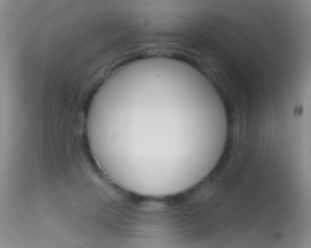 X0000113630649200909181306