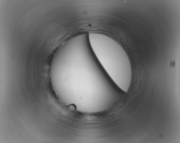 X0000113630650200909181306
