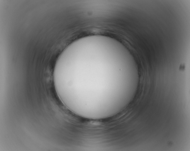X0000113630651200909181306