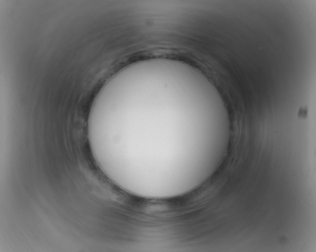 X0000113630653200909181306