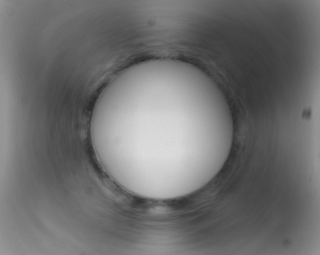 X0000113630658200909181306