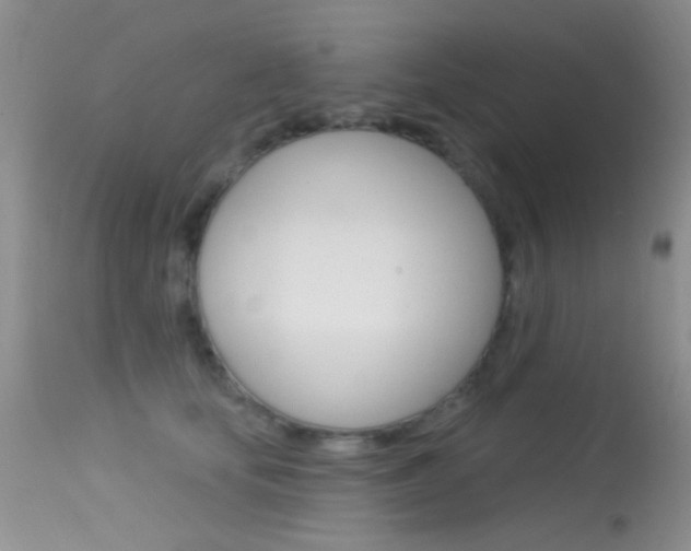 X0000113630659200909181306