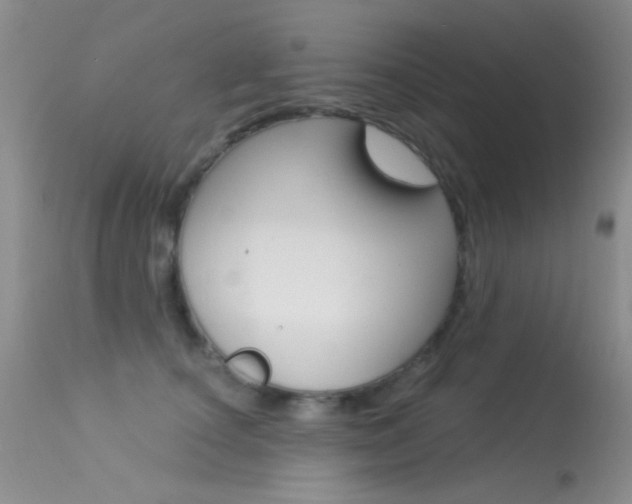 X0000113630660200909181306