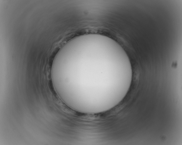 X0000113630661200909181306