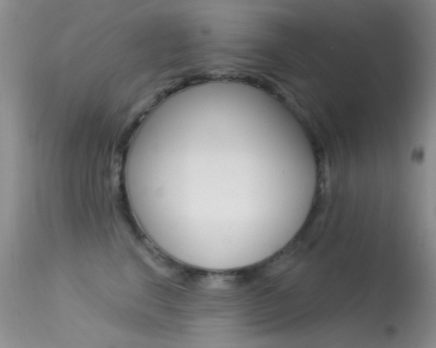 X0000113630664200909181306