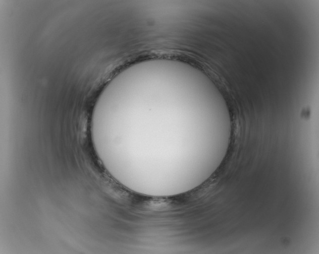 X0000113630668200909181306