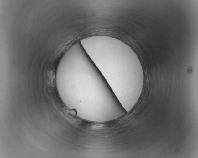 X0000113630669200909181306