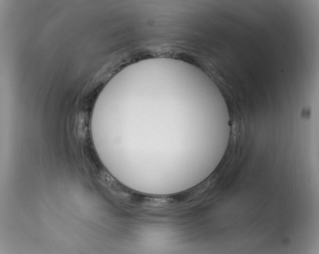 X0000113630671200909181306