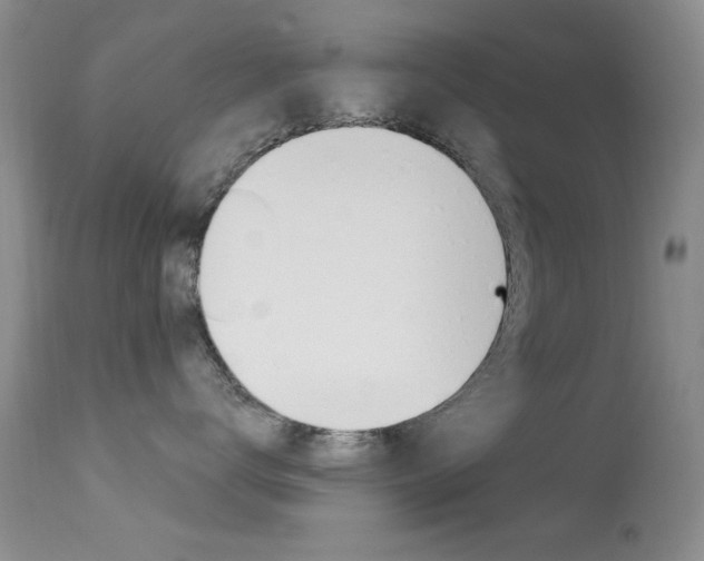X0000113630672200909181306