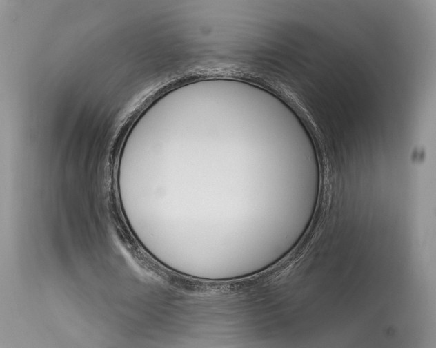 X0000113630674200909181305