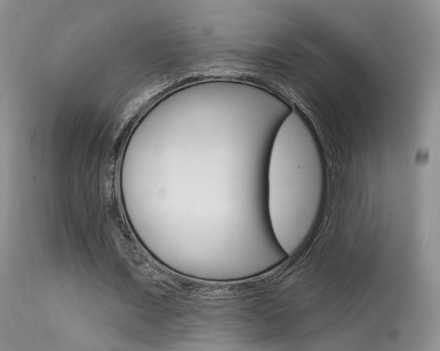 X0000113630675200909181305