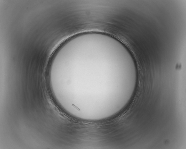 X0000113630676200909181305