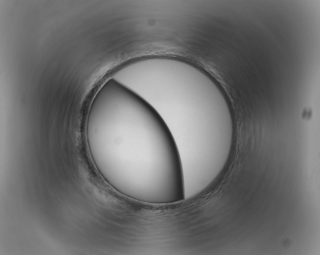 X0000113630679200909181305